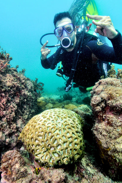 Arraial do Cabo ( Diving + Beaches )