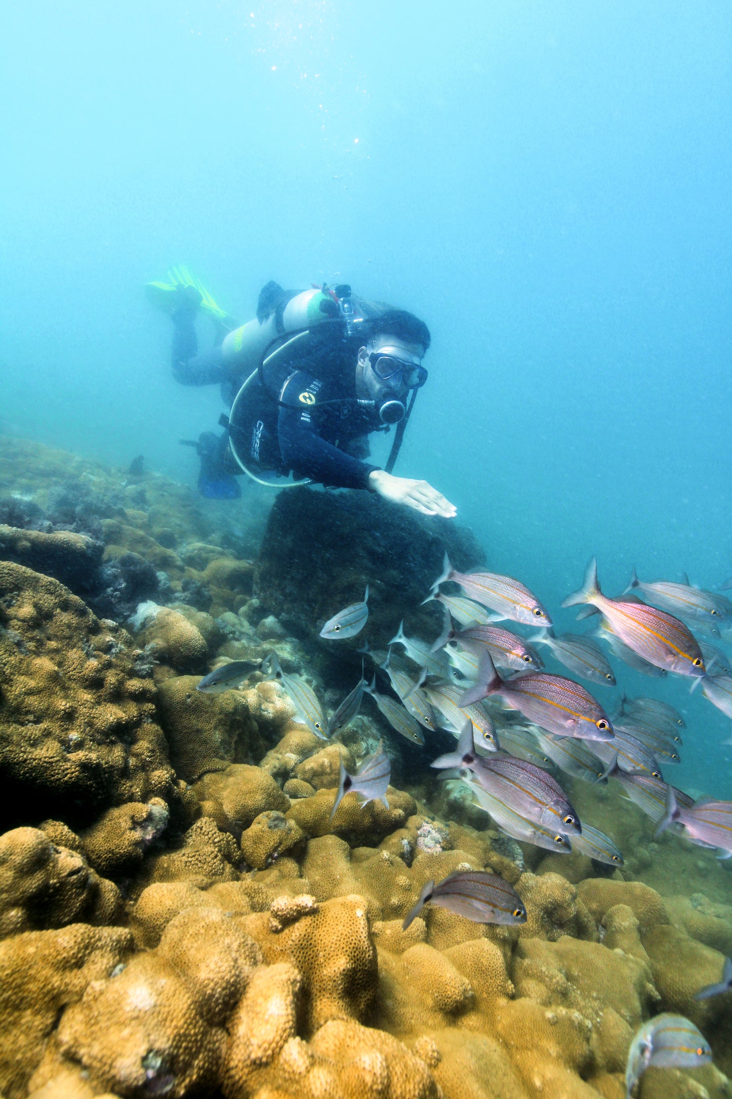 Arraial do Cabo ( Diving + Beaches )